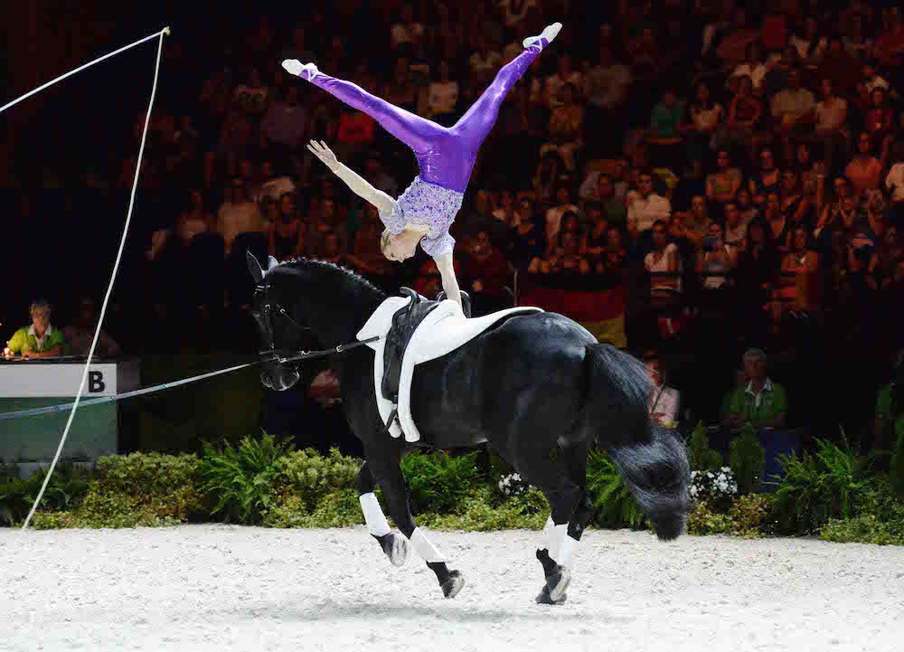 Vaulting Horse Gymnastics