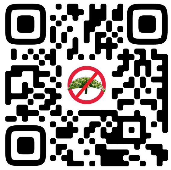 «Победим борщевик вместе!│Тверская область»